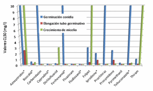 Botrytis cinerea en frutilla/fresa