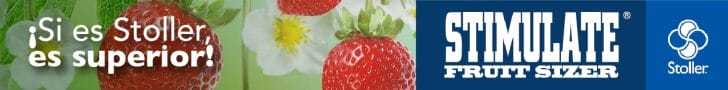 BANNER_S.FRUIT SIZER