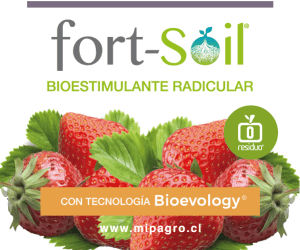 fortsoil-banner-HP-octubre